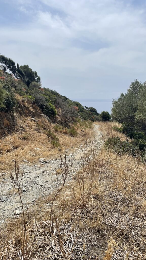 Sardinia's bike paths - sometimes not quite suitable for touring bikes