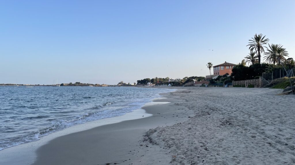 Beach with palm trees